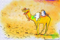 260068 Camel Near Border, Algeria, Hassi Massoud Dup3 A4 Photo Print