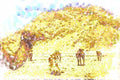 260071 Camels Near Border, Algeria, Hassi Massoud Dup2 A4 Photo Print