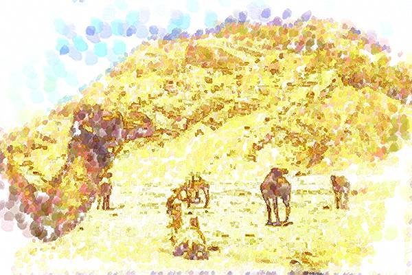 260071 Camels Near Border, Algeria, Hassi Massoud Dup2 A4 Photo Print
