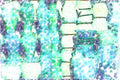 260080 Ceramic Vessels On The Docks, Kuwait City, Kuwait Dup2 A4 Photo Print