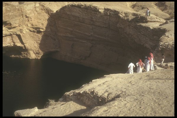 260086 Saudis At An Oasis, Saudi Arabia, Dahran A4 Photo Print