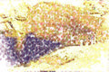 260086 Saudis At An Oasis, Saudi Arabia, Dahran Dup2 A4 Photo Print