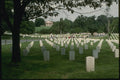 261000 Arlington Cemetery A4 Photo Print