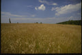 261037 Civil War Battlefield, Manassas A4 Photo Print