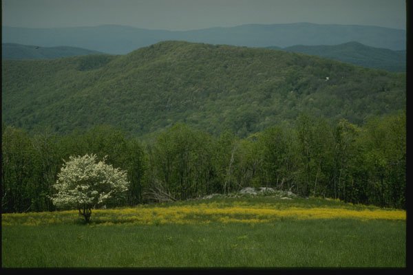 261042 Shenandoah Mountain Landscape A4 Photo Print