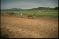 261043 Plowing The Traditional Way, Shenandoah Valley A4 Photo Print