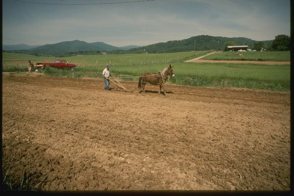261043 Plowing The Traditional Way, Shenandoah Valley A4 Photo Print