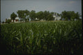 261056 Belle Grove Plantation, Middleton A4 Photo Print