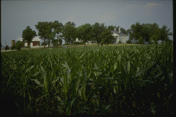 261056 Belle Grove Plantation, Middleton A4 Photo Print