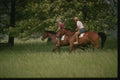 261072 Horesback Riders, Louisa County A4 Photo Print