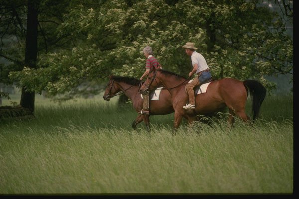 261072 Horesback Riders, Louisa County A4 Photo Print