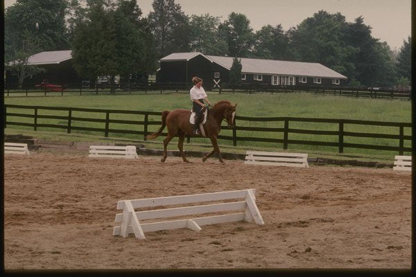 261074 Horse Farm, Louisa County A4 Photo Print