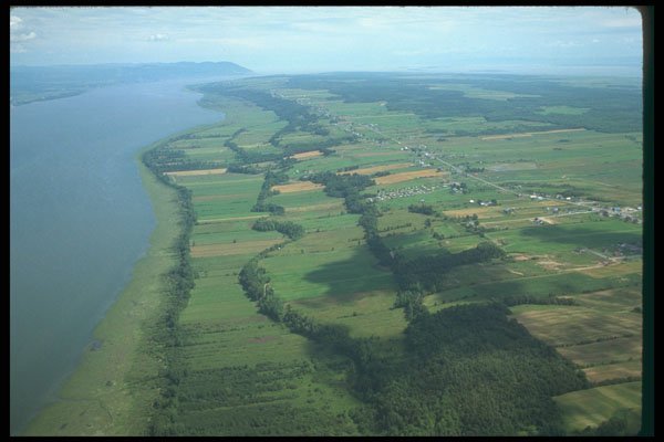 262004 Ile D'Orleans Patchwork Shoreline A4 Photo Print