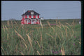 262048 Small Home, Riviere Du Tonnerre A4 Photo Print
