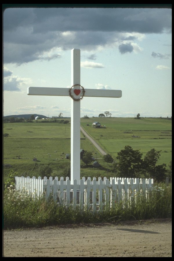 262049 Bois Francs Region A4 Photo Print