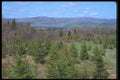 262051 Les Monts Appalaches Des Bois Franc A4 Photo Print
