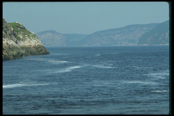 262057 Entrance To The Saguenay River A4 Photo Print