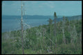 262063 A River Through Brush, Charlevoix A4 Photo Print