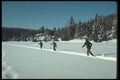 262073 Winter Ski Scene, Laurentians A4 Photo Print