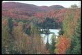262077 Laurentian Fall Scene A4 Photo Print