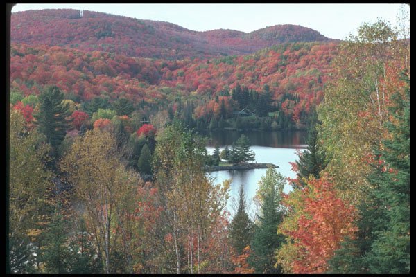 262077 Laurentian Fall Scene A4 Photo Print