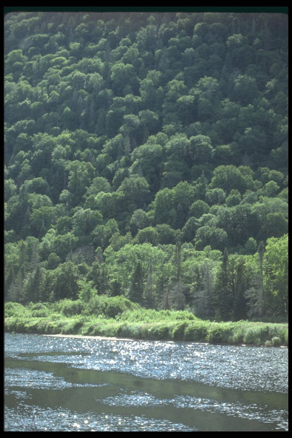 262081 Vallee De La Jacques Cartier A4 Photo Print