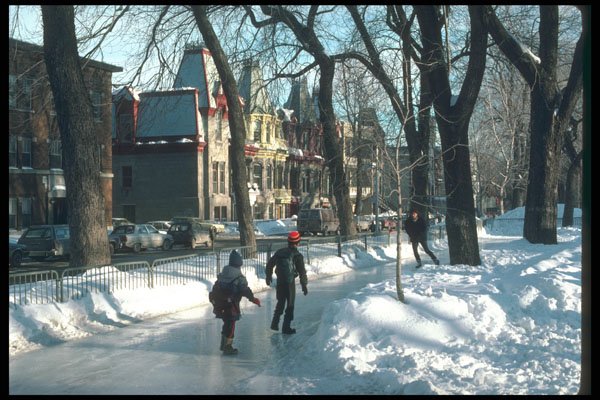262082 Parc Carre St Louis, Montreal A4 Photo Print