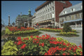 262086 Summer Blooms, Montreal A4 Photo Print