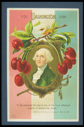 263025 Washington's Birthday, Nash, Embossed, Divided Back A4 Photo Print