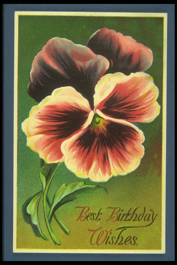 263094 Birthday, Printed In Germany, Divided Back A4 Photo Print