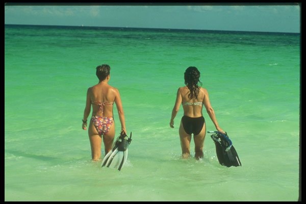 264007 Snorklers Wade Into Warm Caribbean Waters A4 Photo Print