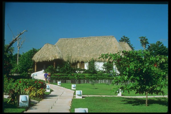 264014 Las Palapas Resort, Playa Del Carmen A4 Photo Print