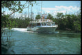 264017 Marina Aqua Ray Snorkel Boat Cruises The Mangroves A4 Photo Print