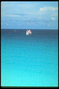 264031 Sailing, Cancun A4 Photo Print