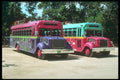 264075 Colorful Tour Buses Visit Xaret, Mexico A4 Photo Print