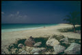 264092 Uncrowded Beach, Playa Del Carmen, Mexico A4 Photo Print