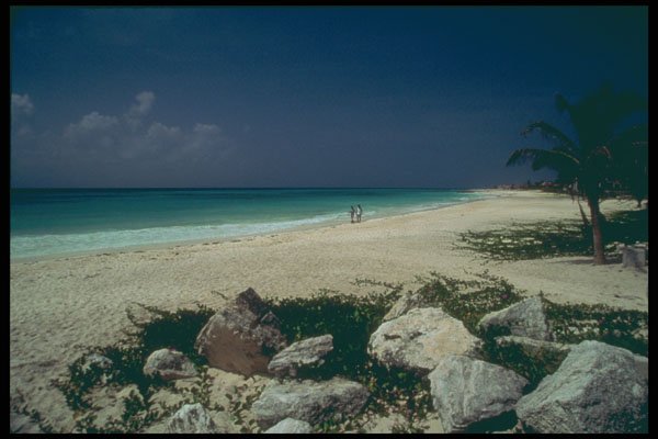 264092 Uncrowded Beach, Playa Del Carmen, Mexico A4 Photo Print