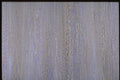 265001 Gray Crackle A4 Photo Print