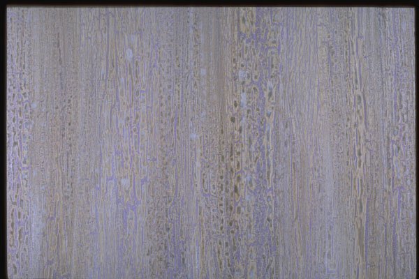 265001 Gray Crackle A4 Photo Print
