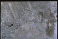 265002 Oxidized Silver Leaf A A4 Photo Print
