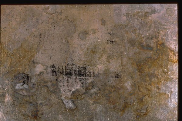 265003 Oxidized Silver Leaf B A4 Photo Print