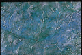265010 Silver Chicken Tracks A4 Photo Print
