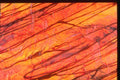 265011 Chocolate Sauce A4 Photo Print