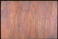 265013 Slabs Of Pink Goo A4 Photo Print