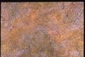 265014 Lace A4 Photo Print