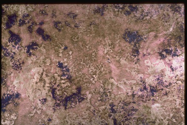 265019 Purple And Pink Casein A4 Photo Print
