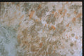 265020 Ersatz Metal A4 Photo Print