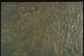 265025 Broiled Gesso Really A4 Photo Print