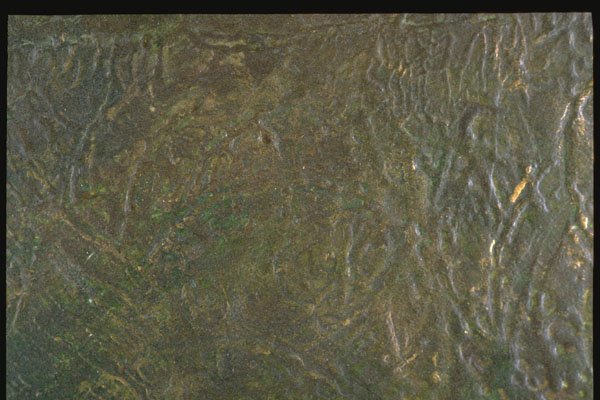 265025 Broiled Gesso Really A4 Photo Print
