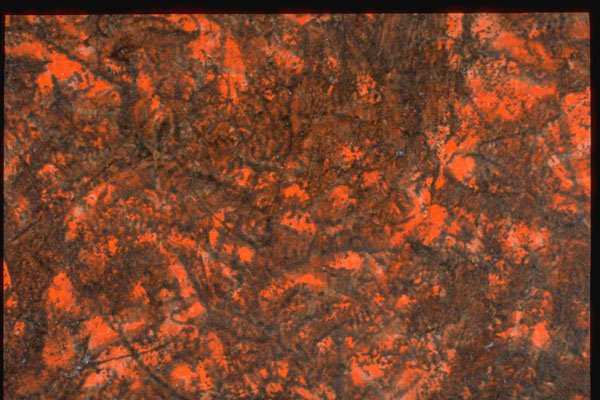 265027 Looks Like Vinyl Upholstery A4 Photo Print